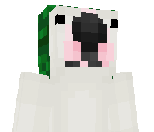 gurt41's skin