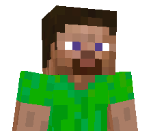 SolvBirb's skin