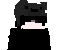 rrvt's skin