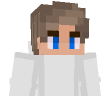 scahr's skin