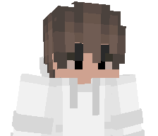 W1indStorm's skin