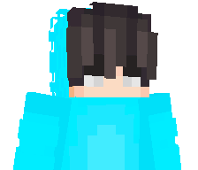 NiceCombo_noob's skin