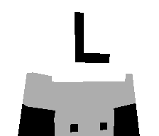 LWang's skin