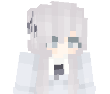 MCommander2077's skin