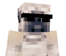 0_0_1_0_1's skin