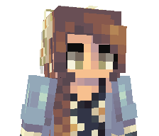 HiddenSkyspark's skin