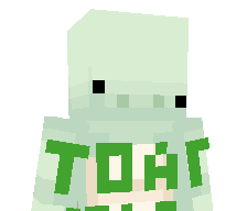 toartle's skin