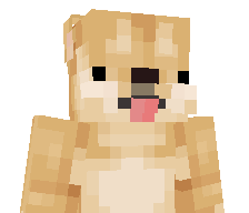 rockruffstonedge's skin
