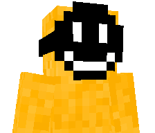 5bra8's skin