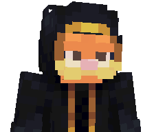 VSNW1009's skin