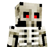 Ninjaboy337's skin