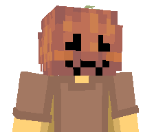 _zRaider_'s skin