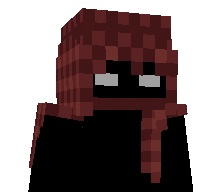 450s's skin