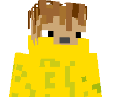 Pro1004elik111's skin