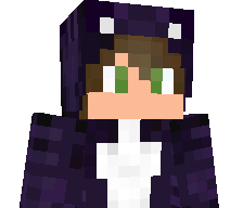 Toasty_Pug's skin