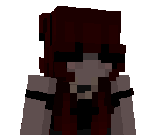 9xs's skin