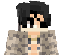 hqme's skin