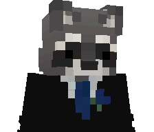 Raccoonism's skin