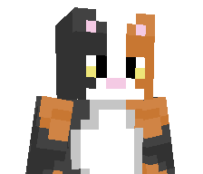 zumdev's skin