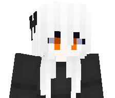 RTXowo_'s skin