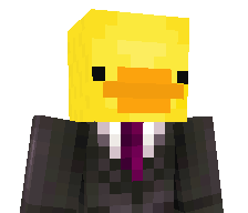 Player455121987's skin