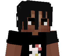 13dxvidd's skin