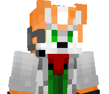 radw0lf1's skin