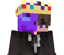 KingPurpleTurtle's skin