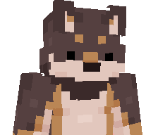 1145_fps's skin