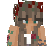svdl_tech's skin
