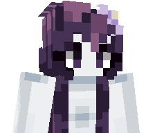 Bidzx05's skin