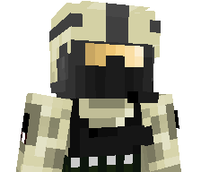 17ee's skin
