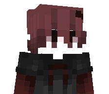 saikyz_'s skin