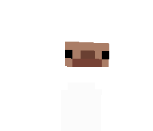 saintshirt's skin
