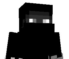 ErykSkyPl11279's skin