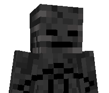 Nixonzzz_'s skin