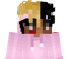 pokeyplayer's skin