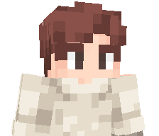 v1mor's skin