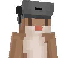 FigthetwigV2's skin