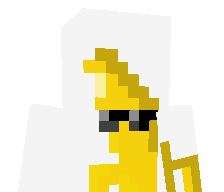 VoidGoger's skin