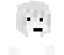 noncommercial's skin