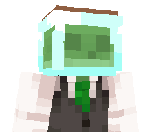 Sl1mik's skin