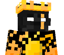 PRO_PLAYER223's skin