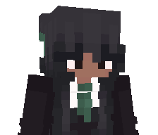 ircyls's skin