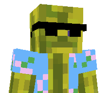 14cj's skin