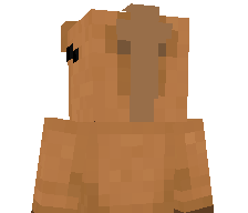IrvingCube's skin