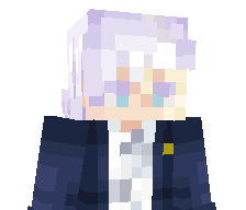 ZvingMC's skin