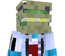 Lolek312's skin