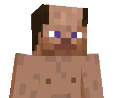 Indfix's skin