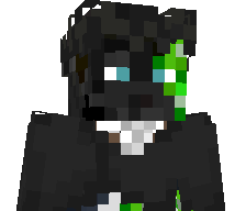 Twan's skin